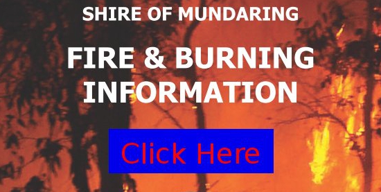 Fire & Burning Information